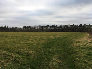 Cockhill Farm Photo