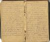 Diary Log